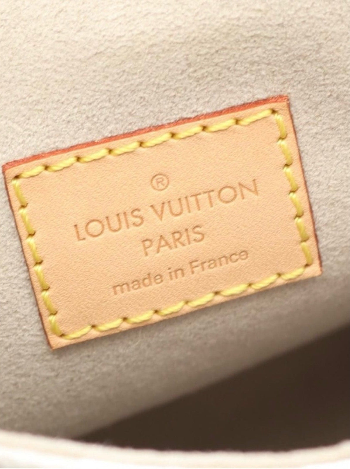 Louis Vuitton Monogram Giant By The Pool Tiny Backpack in Brume